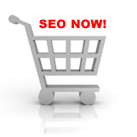 seo-now